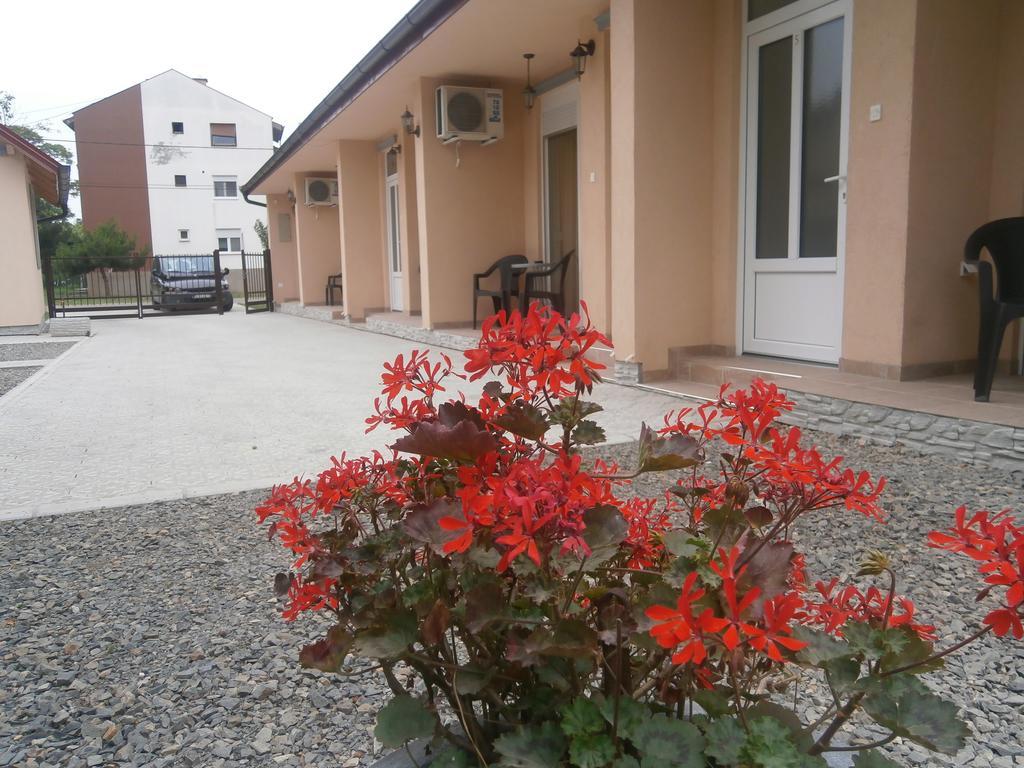 Apartments Svetlica Backi Petrovac Extérieur photo