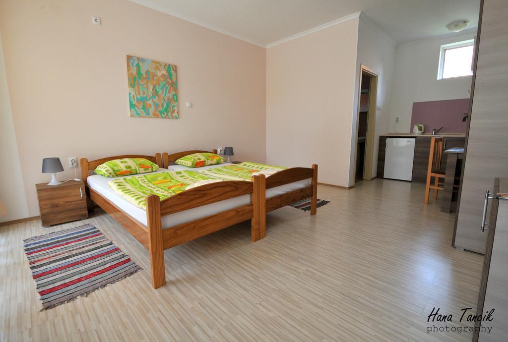 Apartments Svetlica Backi Petrovac Extérieur photo